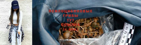 spice Аркадак