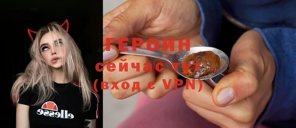 гашик Арсеньев