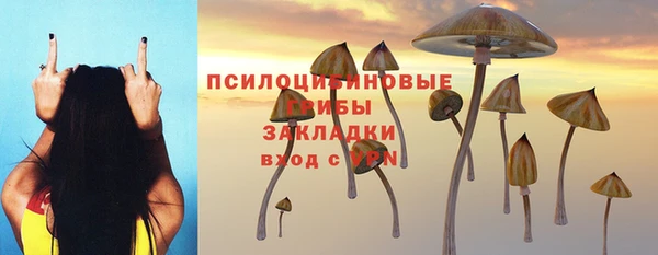 гашик Арсеньев