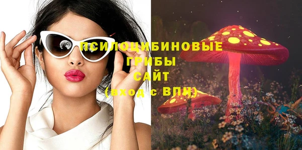 spice Аркадак