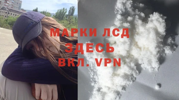 spice Аркадак
