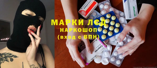spice Аркадак